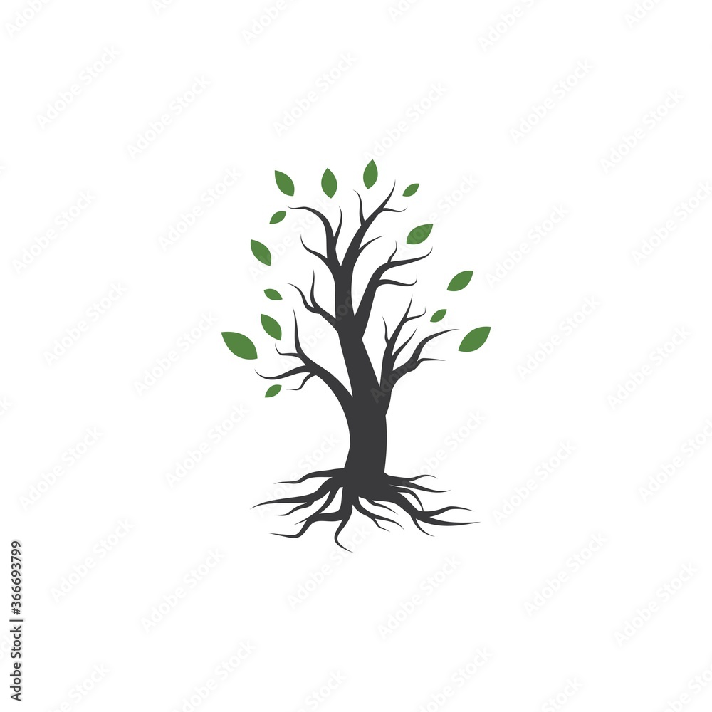 Obraz premium Tree logo template