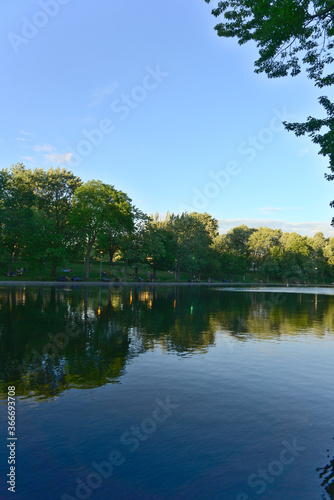 A vertical orientation of reflections of trees and clouds on lake water, La Fontaine Park, Montreal, QC, Canada
