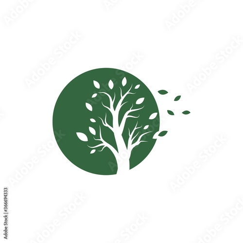Tree logo template