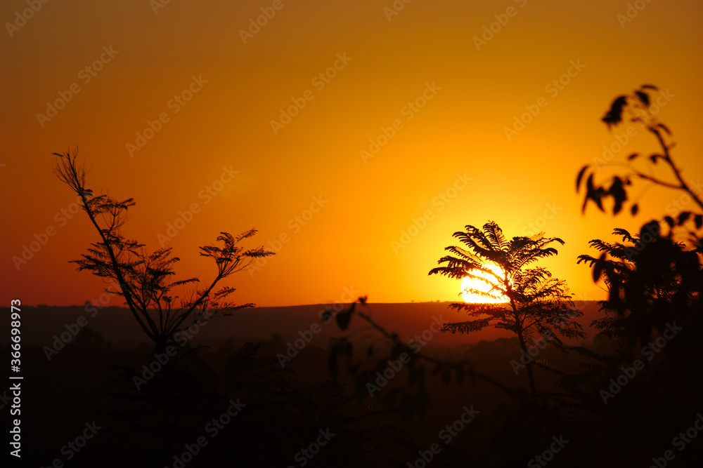 Brazilian Sunset
Very beautiful, the sunsets in brazilian savannah has many colors.