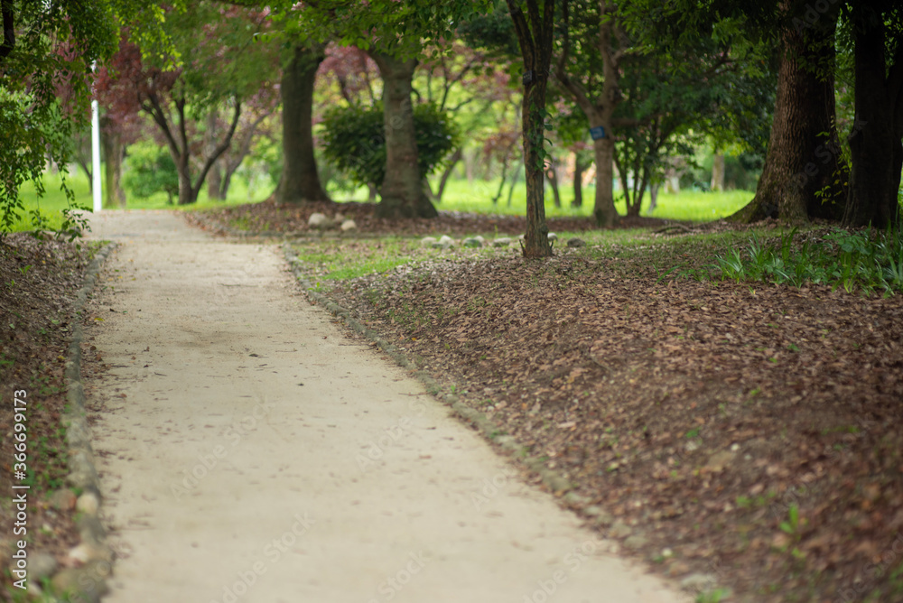 Obraz premium Your future