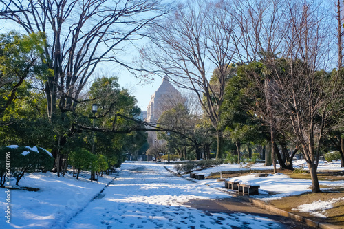 雪の憲政記念公園 photo