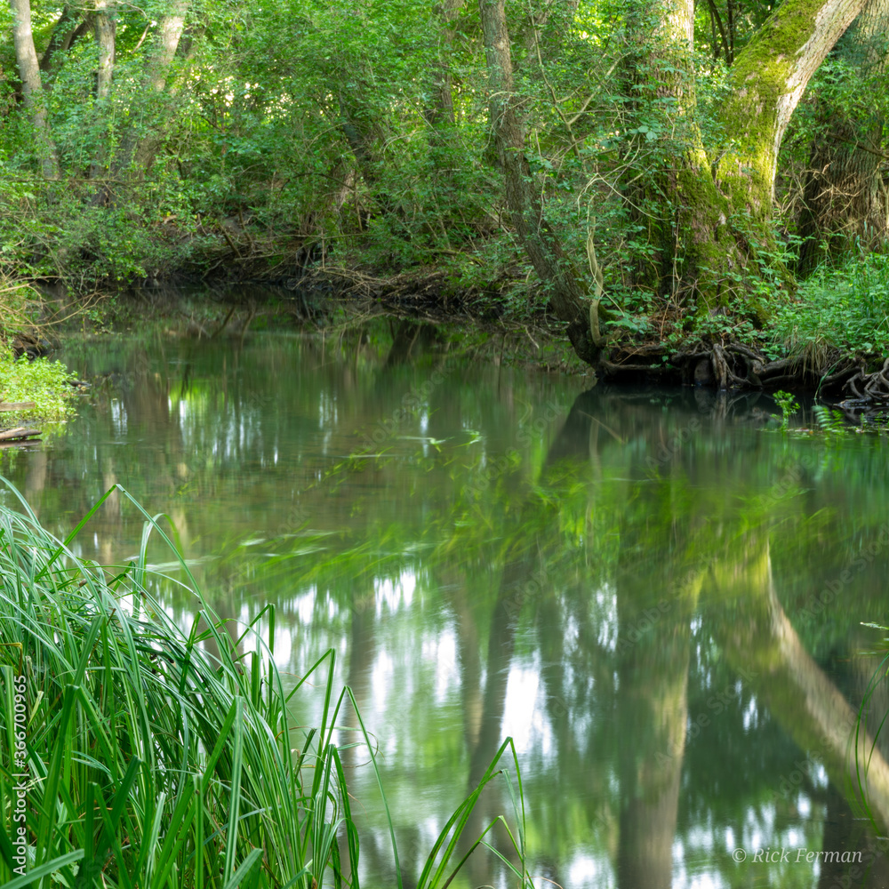 Der Strom in der Nähe von Klein Sperrenwalde. lake in the forest Der Strom in der Nähe von Klein Sperrenwalde. lake in the forest