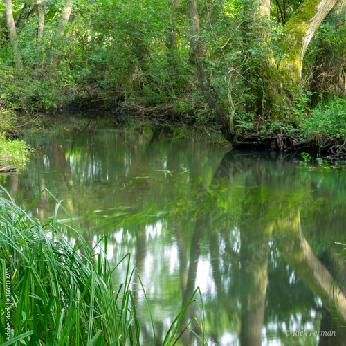 Der Strom in der Nähe von Klein Sperrenwalde. lake in the forest