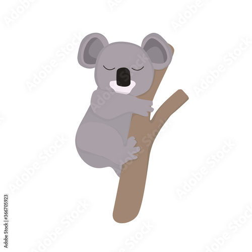 Photography Koala Illustration