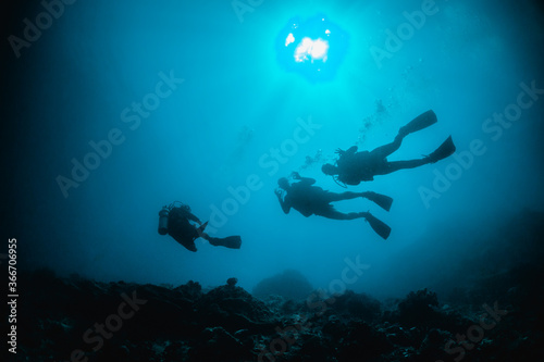 Scuba divers swimming among coral reef in crystal clear water