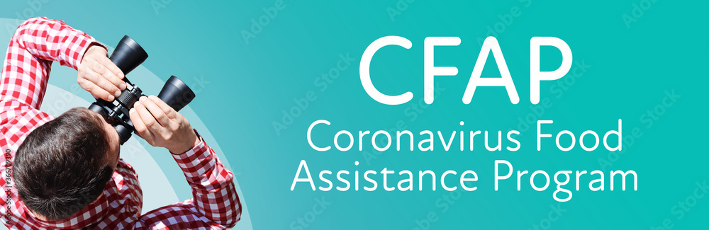 Fototapeta premium CFAP (Coronavirus Food Assistance Program). Businessman (man) looks through binoculars. Birds eye view. Focus on text. Blue Background. Business, Finance, Statistics, Analysis, Economy