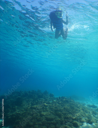 underwater snorkel scuba diver caribbean sea Venezuela