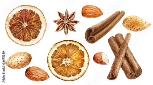 Print op canvas Cinnamon sticks almond anise star and dried orange slices set watercolor illustr