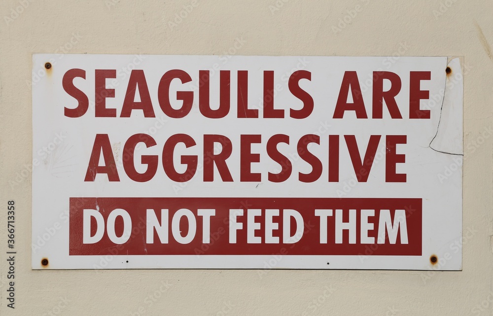 A seagull warning sign beside fast food shops.