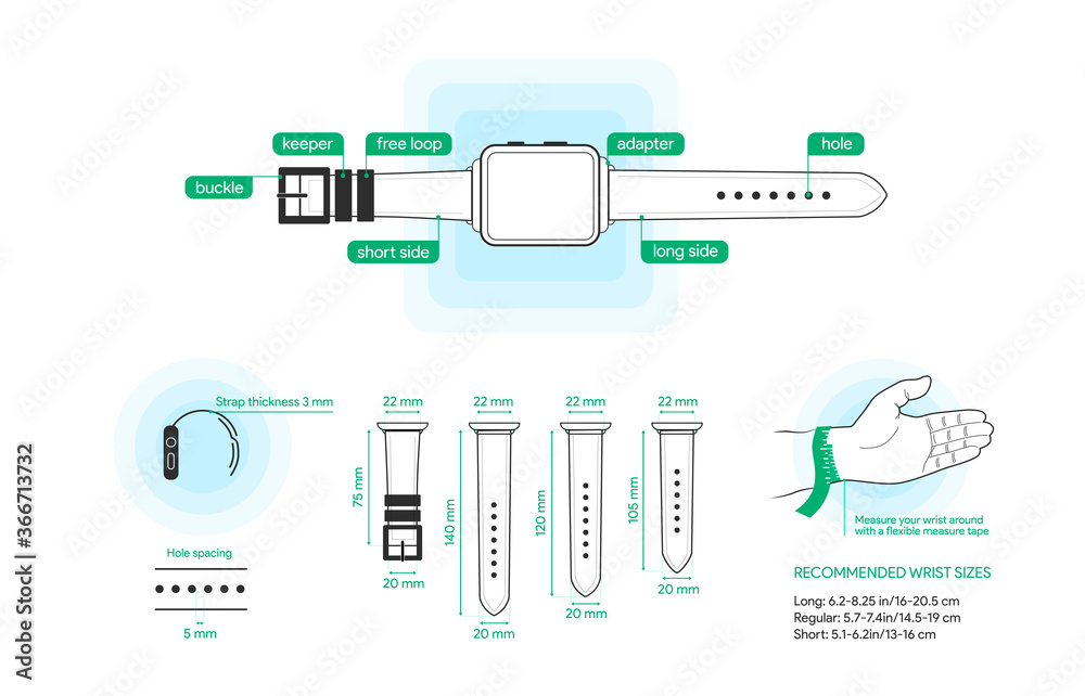 Apple watch bands size guide. Smart clock band dimensions. Wrist measure  chart in mm. Smartwatch strap kit. Buckle and long side. Vector  illustration design. Stock Vector | Adobe Stock