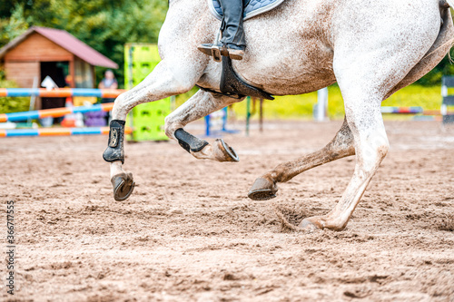 Φωτογραφία Detail of horse during horse showjumping competition