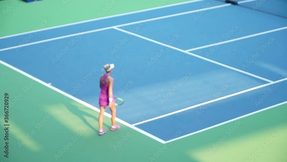 tennis player on the court tennis player on the court