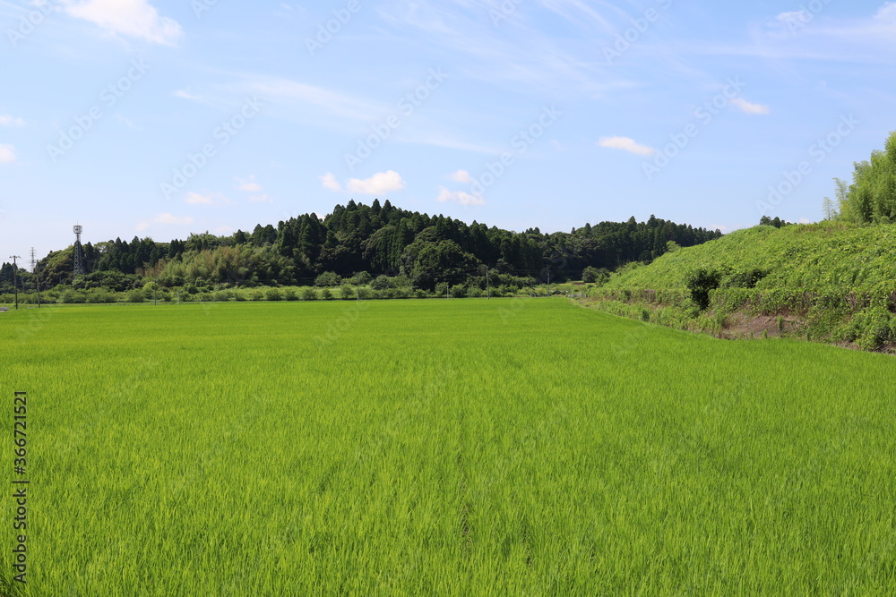 青空と田んぼ