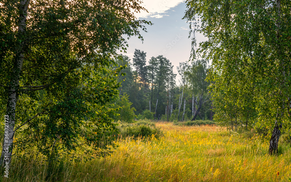 Walk through wooded areas and flowering meadows. Hiking.