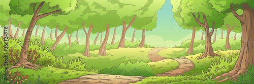 Summer forest landscape, panorama. Hand drawn vector illustration with separate layers.