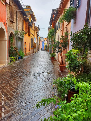 A colorful, narrow, deserted street in Rimini on a rainy, overcast day. Vertical photo of a colorful, wet street in a tourist city in Italy.