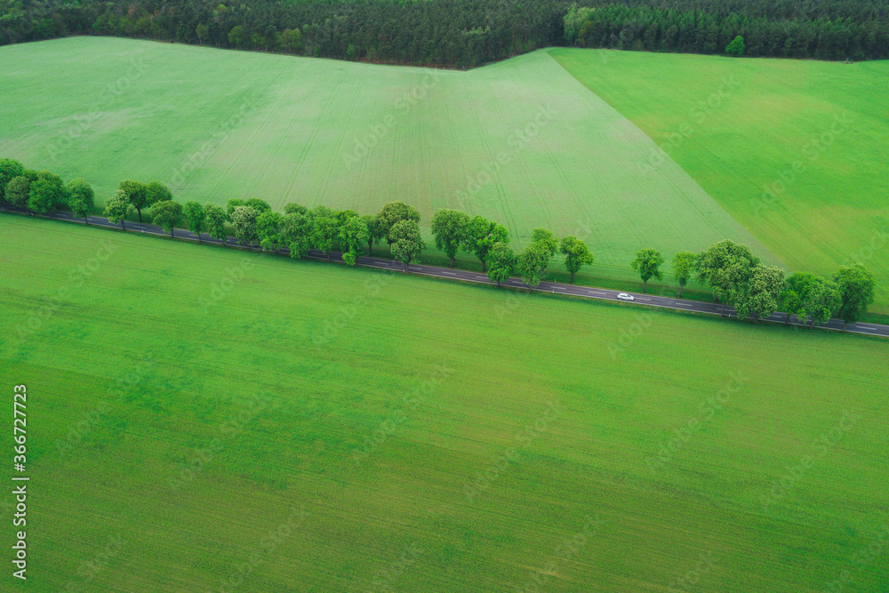 Road through green pastures, covered by trees with an electric car visible on the road Road through green pastures, covered by trees with an electric car visible on the road