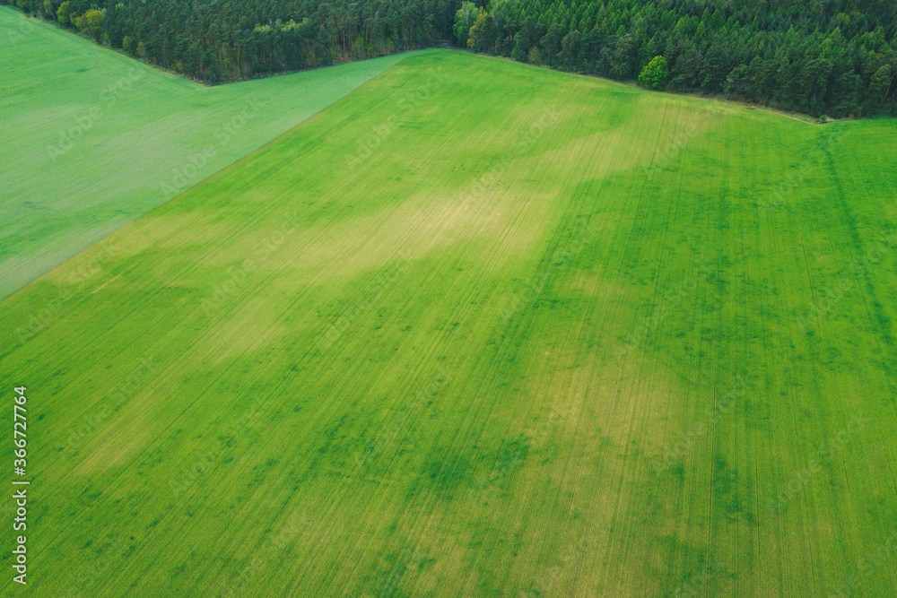 Obraz premium Aerial perspective of a zig zag pattern of a forest treeline next to a green field