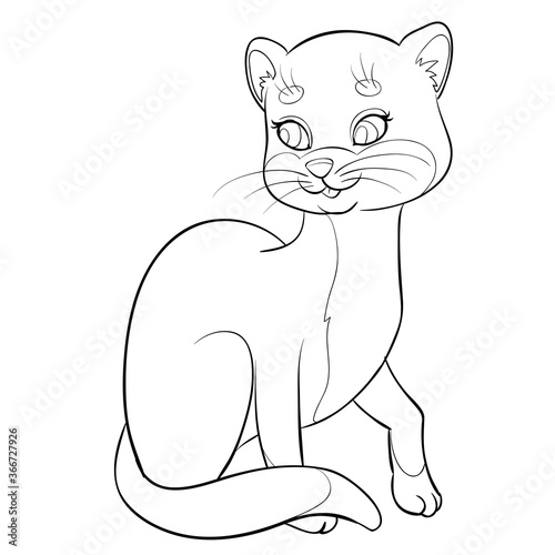 sketch of a respectable wise cat, coloring, isolated object on a white background, vector illustration,
