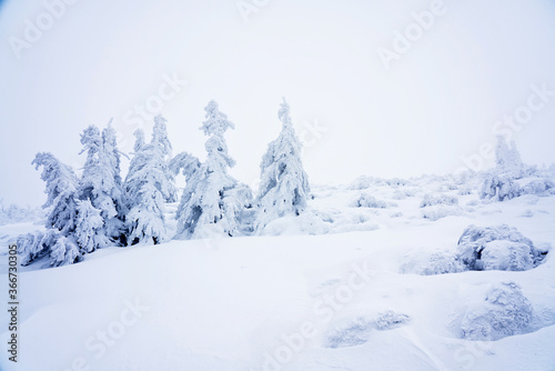 Fototapeta Naklejka Na Ścianę i Meble -  Winter in Beskidy mountains near Pilsko, Babia Gora and Hala Miziowa in Beskid Zywiecki, Poland. Beskid Zywiecki is a part of Carpathian mountains.