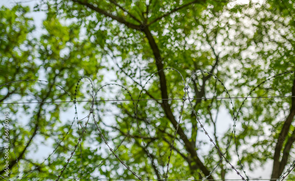 Barbed wire on fence with sky. Selective focus. Barbed wire on fence with sky. Selective focus.