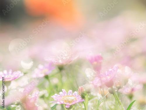 little pink flower in close up with raindrop in green background for space © Oran Tantapakul