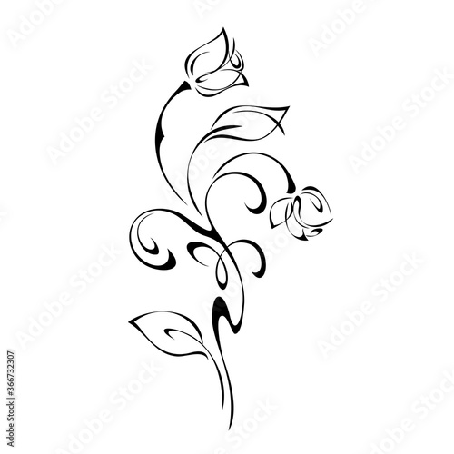 ornament 1243. stylized twig with two rosebuds, leaves and curls in black lines on a white background