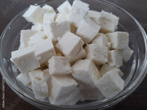 Panner or Cottage cheese cube  photo