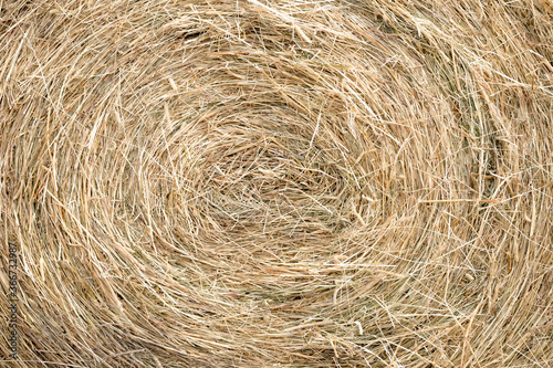 End of a round bale of hay. The straw pattern is circular. Closeup view.