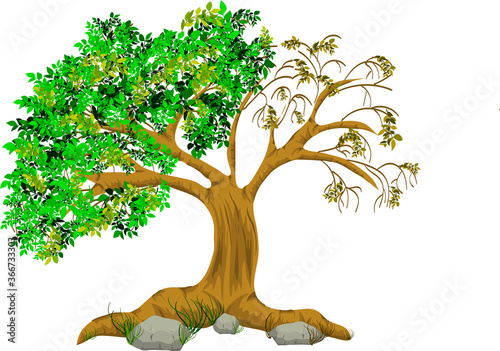 illustration of tree half full of green leaf and half dry