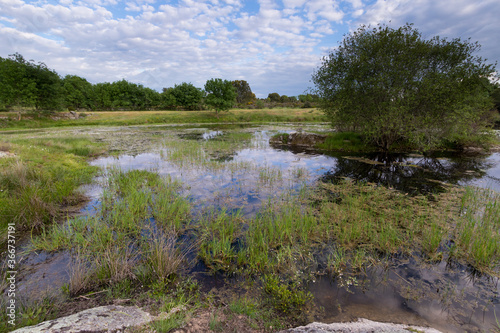 Amazing Landscape with natural Mediterranean temporary pond (Natura 2000 network priority habitat; European Union)