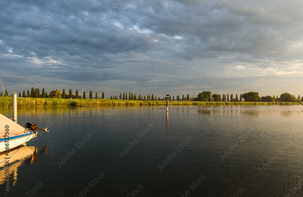 Obraz premium Nature reserve at Lake Constance in morning light, Radolfzell, Baden-Wuerttemberg, Germany