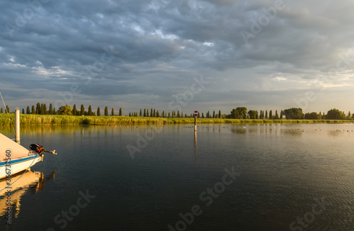 Nature reserve at Lake Constance in morning light  Radolfzell  Baden-Wuerttemberg  Germany