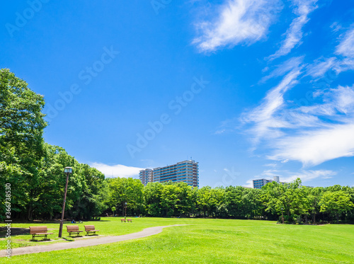 青空が広がる住宅街の公園