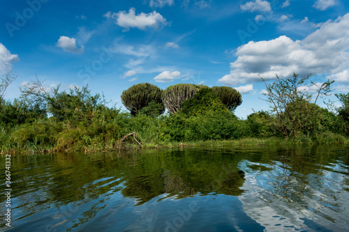 Ihema Lake in the Akagera National Park, Rwanda, Africa