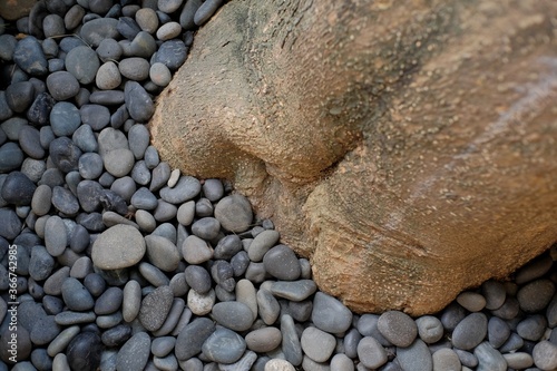 Natural stones which are deliberately stocked as decoration cover the area around the trunk of a large tree