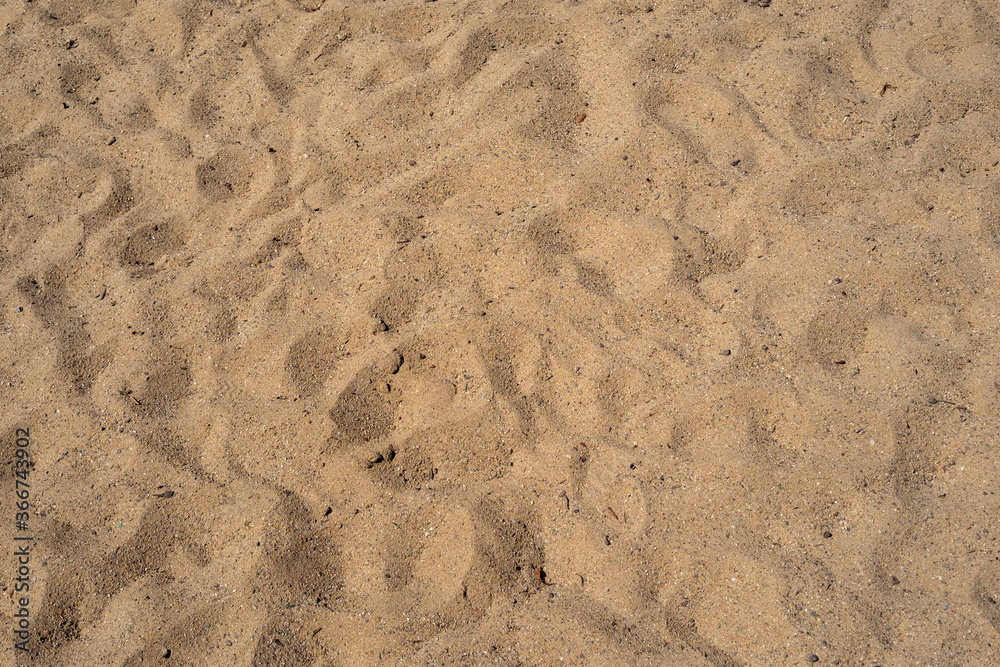 Sand Sand