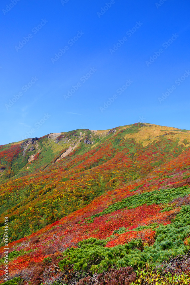 栗駒国定公園、栗駒山の紅葉。栗原、宮城、日本。１０月上旬。