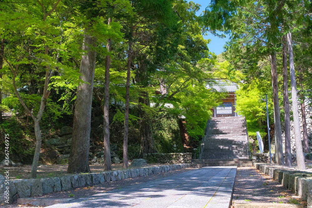 由良町 興国寺 参道 由良町 興国寺 参道