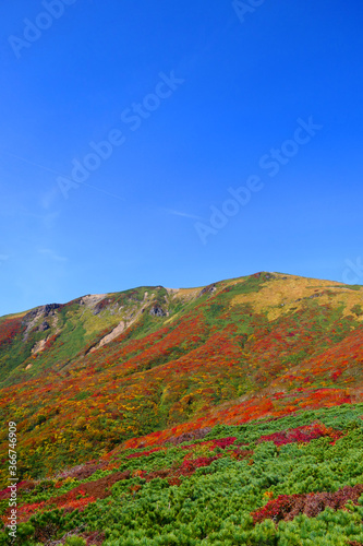 栗駒国定公園、栗駒山の紅葉。栗原、宮城、日本。１０月上旬。 © 義美 前田