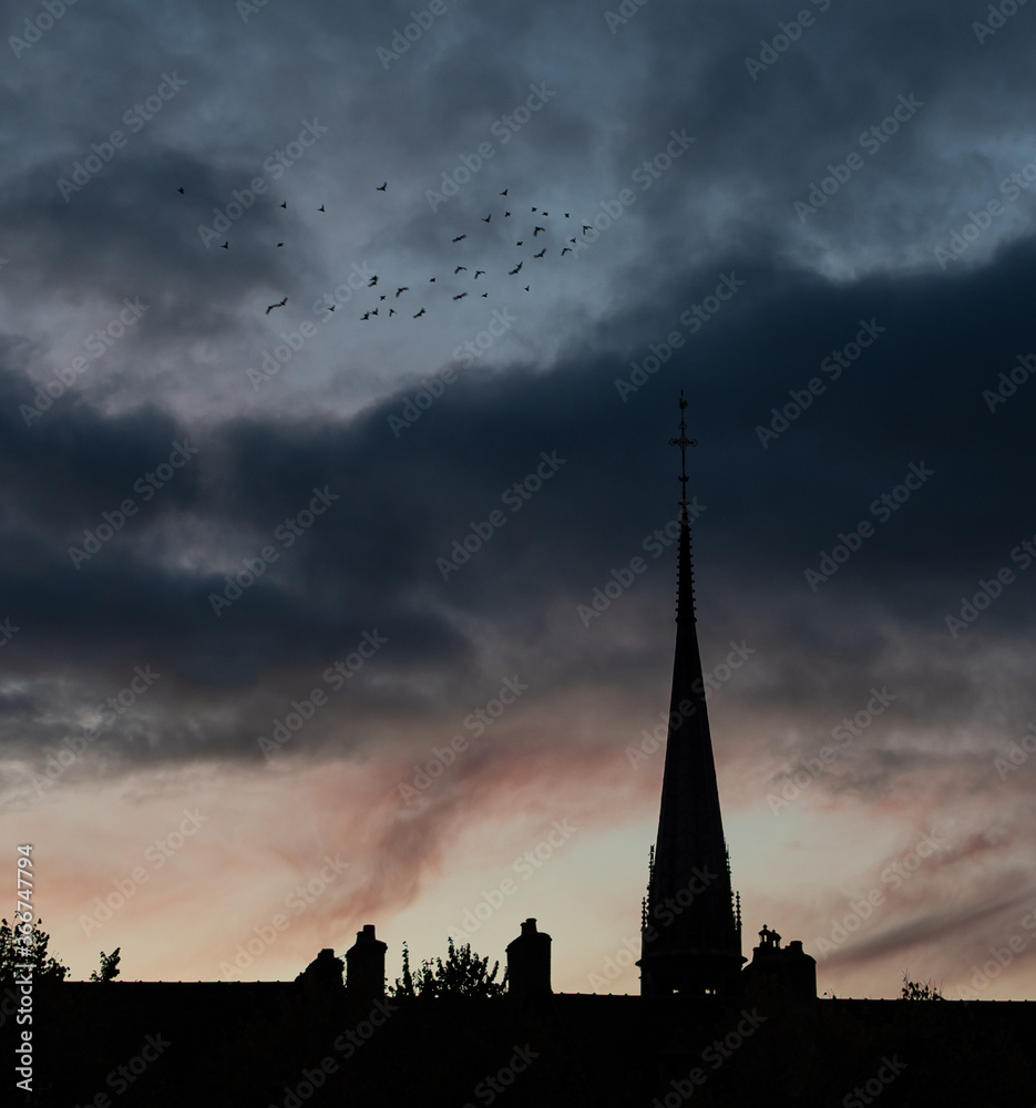 Obraz premium Birds Over Steeple