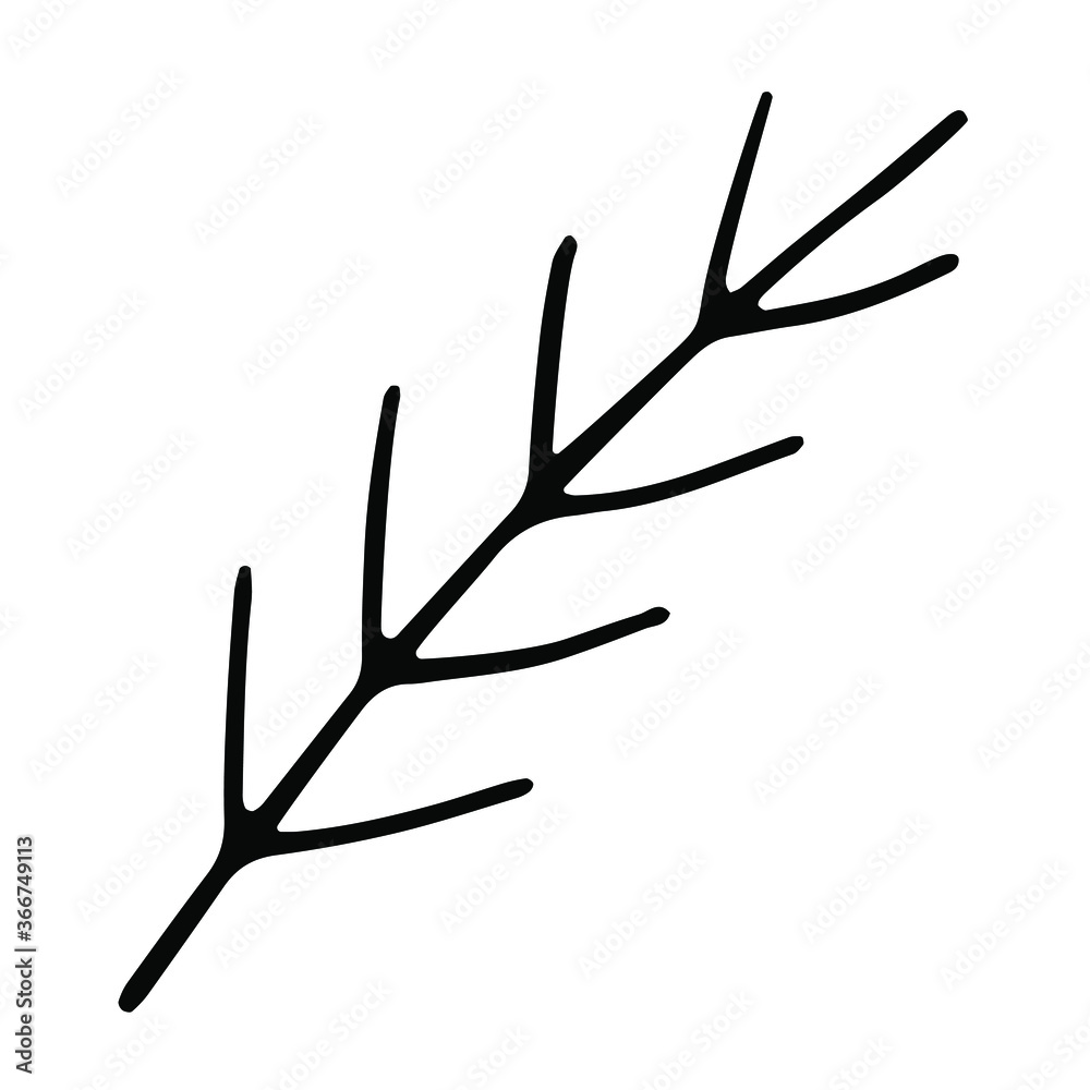 Christmas doodle element - pine branch. Winter design single element for cards, posters, banners, wrapping paper, stickers, logo and other winter design. Christmas doodle element - pine branch. Winter design single element for cards, posters, banners, wrapping paper, stickers, logo and other winter design.