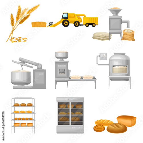 Bread Production from Grain Crop Harvesting to Grinding and Baking Vector Illustration Set