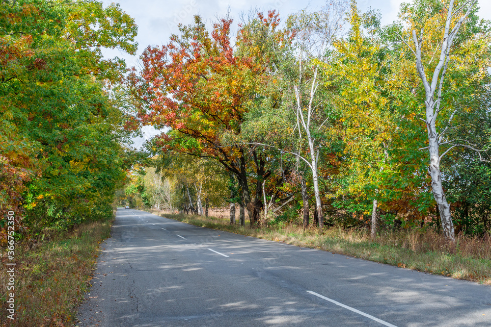 The road passing beneath the arch of autumn tree branches. The road passing beneath the arch of autumn tree branches.