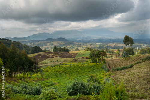 Agricultural landscape in the Ruhengeri region  Rwanda  Africa