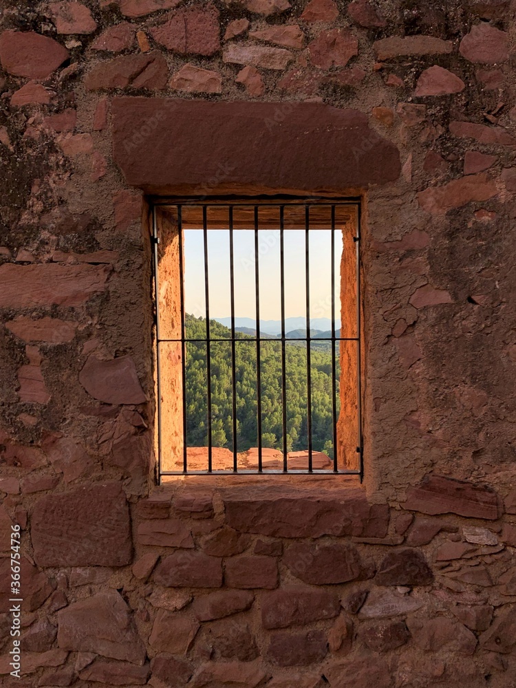 Fototapeta premium ventana con barrotes, naturaleza entre rejas