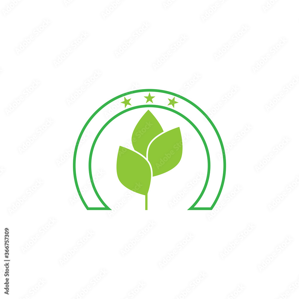 Moringa leaf Logo Template vector Moringa leaf Logo Template vector