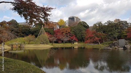 Autumn view with maple leaves, water view, lake view and reflection in Koishikawa Korakuen (小石川後楽園, Koishikawa Kōrakuen), a large urban park in the Koishikawa neighborhood of Bunkyo, Tokyo, Japan