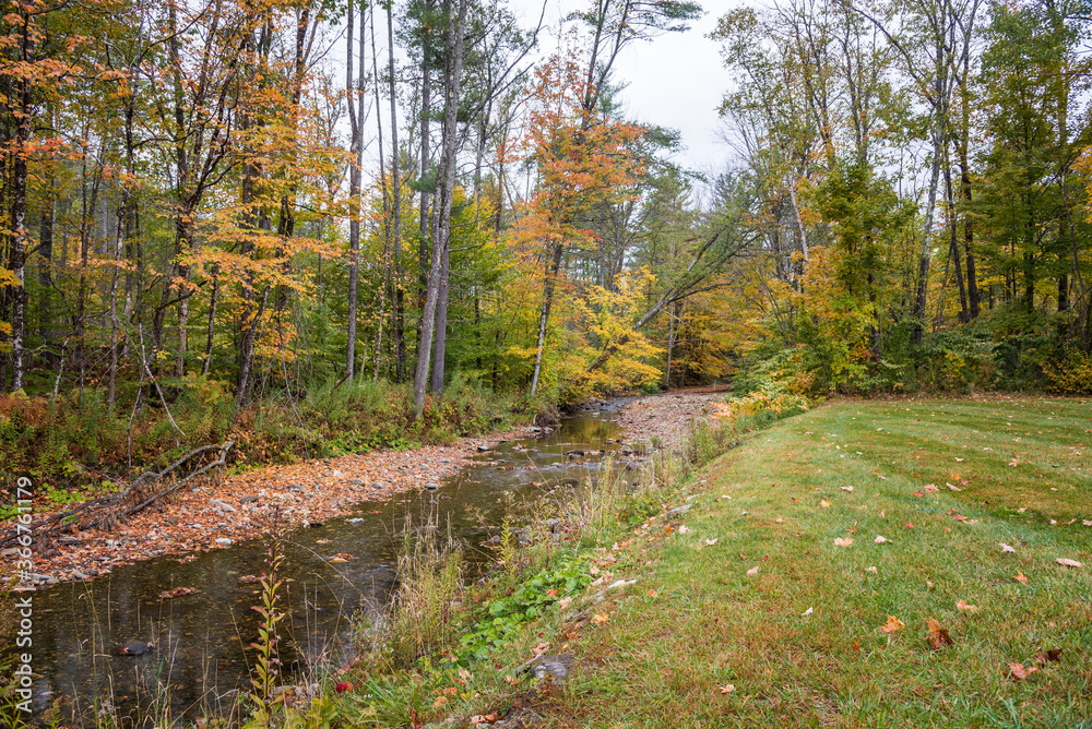 Small creek through woods on a cloudy autumn day. Woodstock, VT, USA. Small creek through woods on a cloudy autumn day. Woodstock, VT, USA.